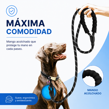 Correa Reflectante para Perros – Fuerte, Cómoda y Duradera