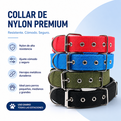 Collar Resistente para Perros de Todas las Razas