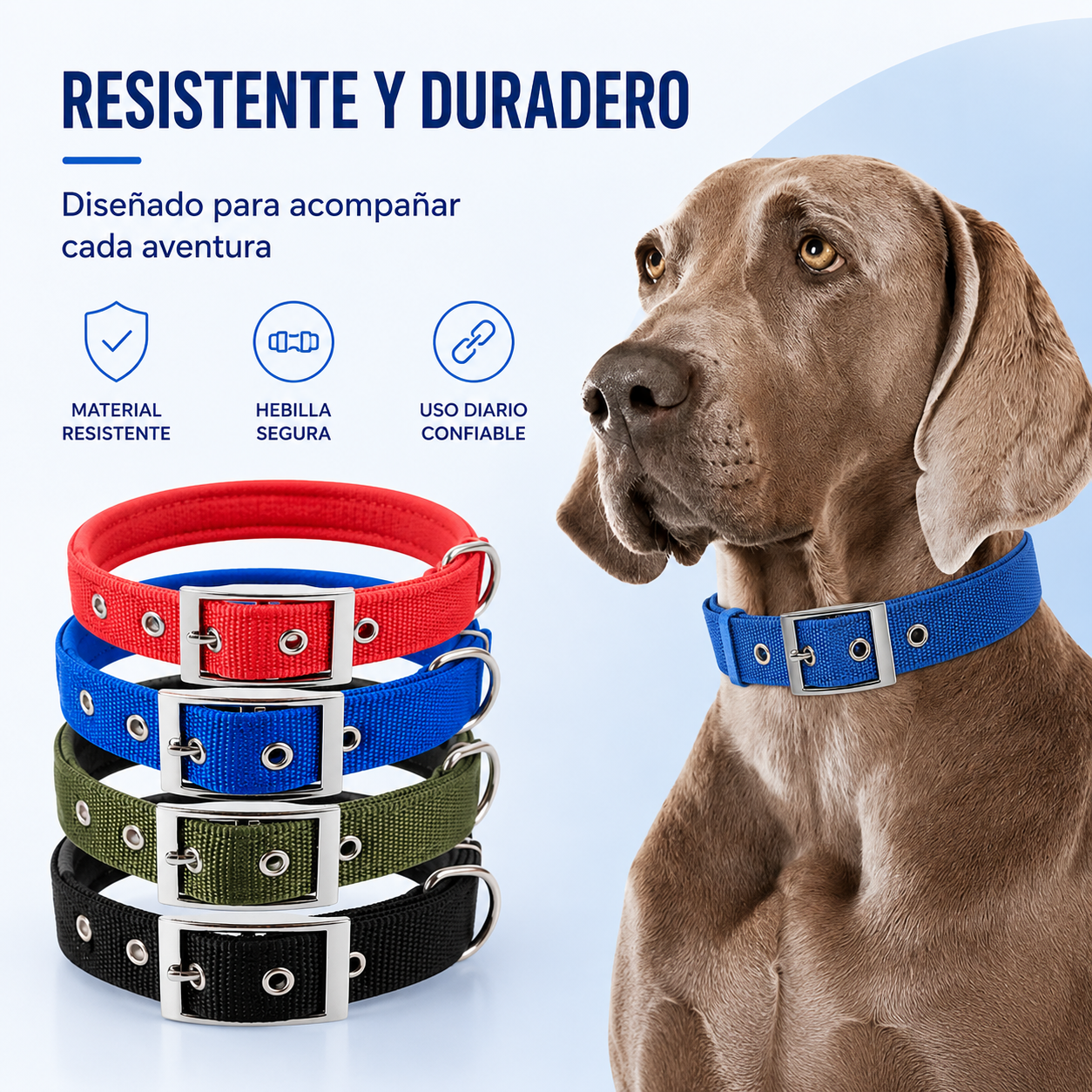 Collar Resistente para Perros de Todas las Razas