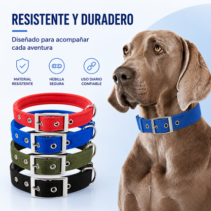 Collar Resistente para Perros de Todas las Razas