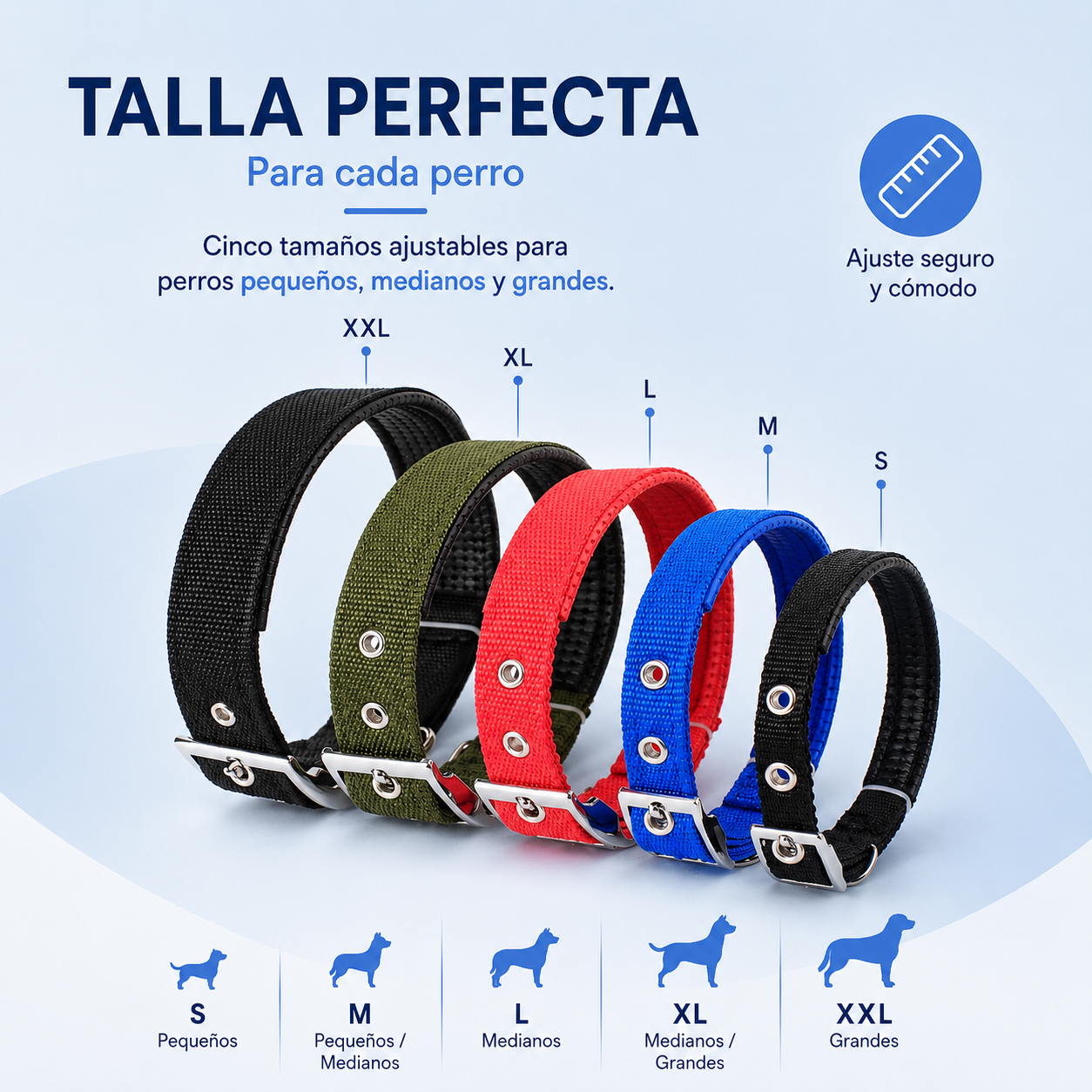 Collar Resistente para Perros de Todas las Razas