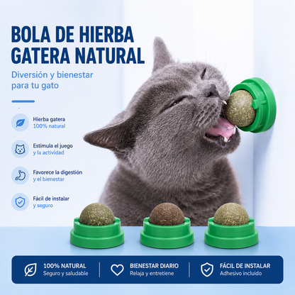 Bola de Hierba Gatera Natural para Gatos