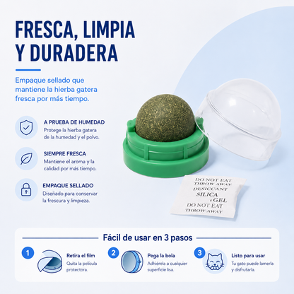 Bola de Hierba Gatera Natural para Gatos