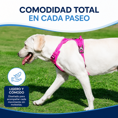 Arnés Reflectante para Perros con Correa – Ajustable y Transpirable