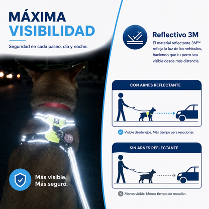 Arnés Reflectante para Perros con Correa – Ajustable y Transpirable
