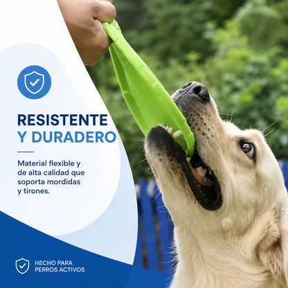 Frisbee para Perros – Resistente a Mordeduras