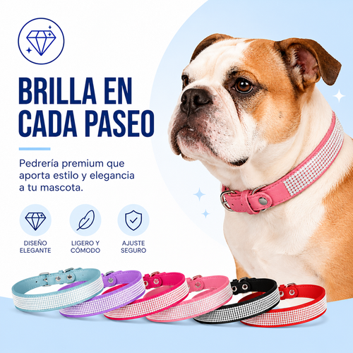 Collar de Lujo con Pedrería para Mascotas Ajustable