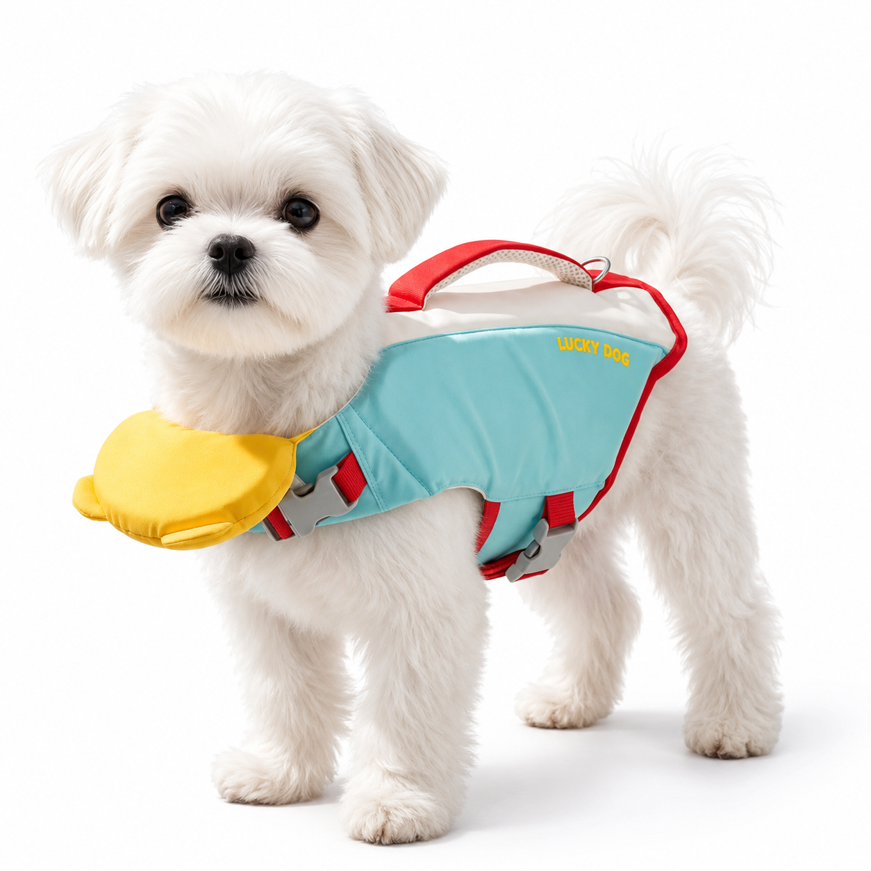 Chaleco Salvavidas Para Perros