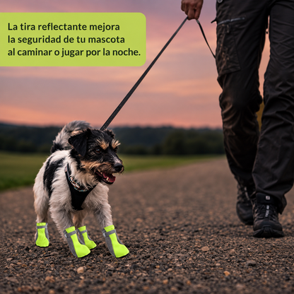 Zapatos Para Perros Transpirables Verano