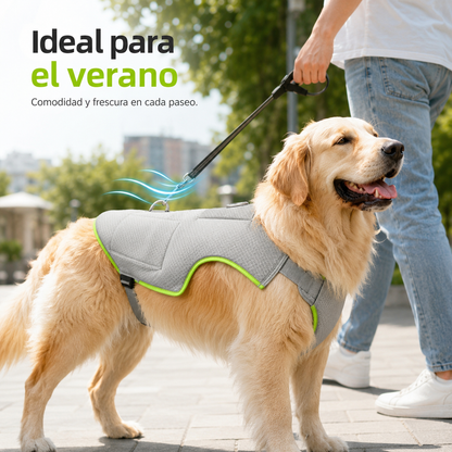 Arnés Refrigerante para Mascota con Bolsillo de Gel de Hielo