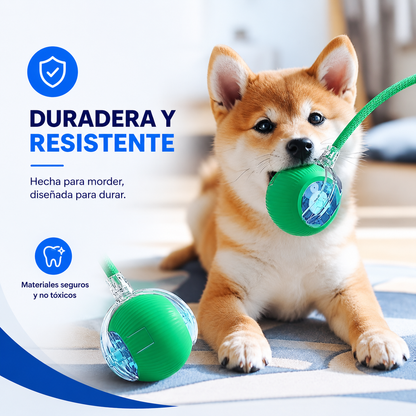 Pelota Inteligente Recargable para Perros