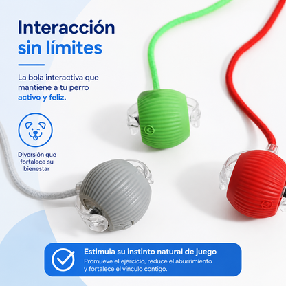 Pelota Inteligente Recargable para Perros