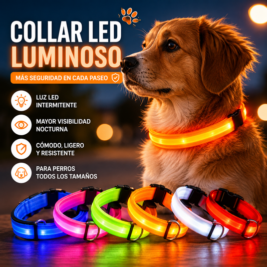Collar LED para Perros – Seguridad Nocturna Luminoso y Ajustable