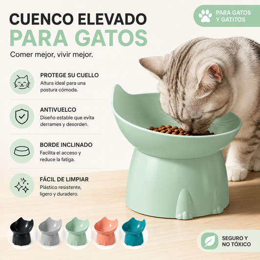 Cuenco Elevado Antivuelco para Gatos