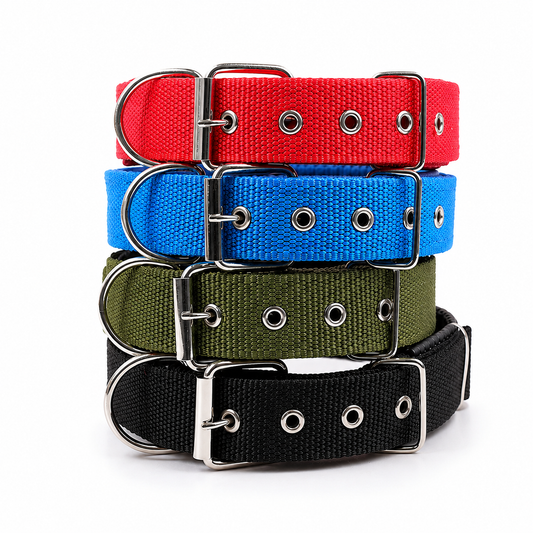 Collar Resistente para Perros de Todas las Razas
