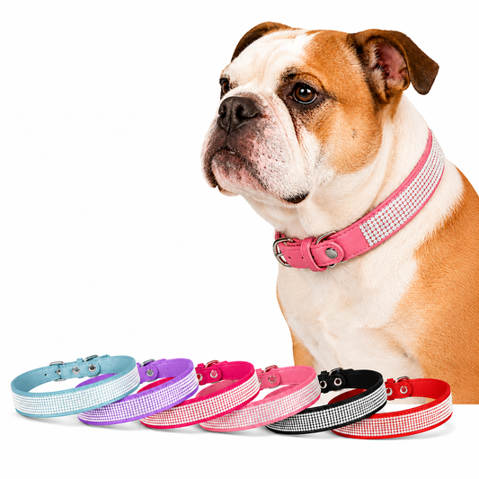 Collar de Lujo con Pedrería para Mascotas Ajustable