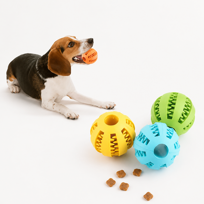 Bola de juguete para perros