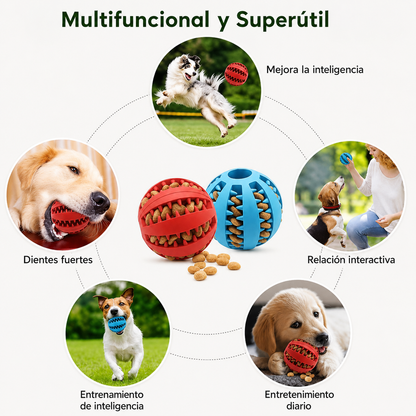 Bola de juguete para perros