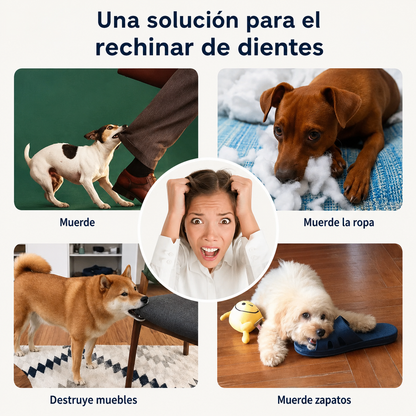 Bola de juguete para perros