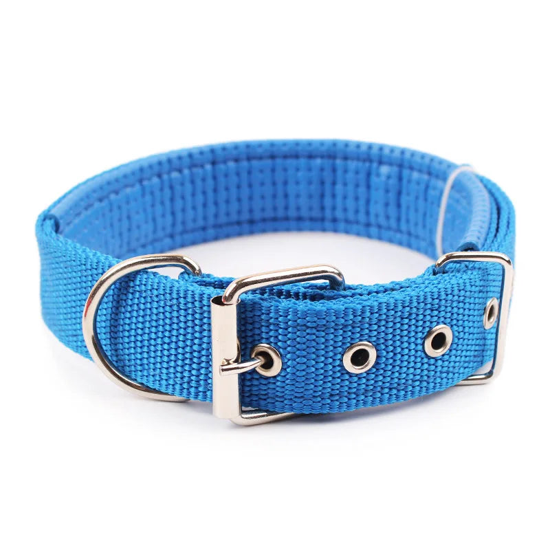 Collar Resistente para Perros de Todas las Razas