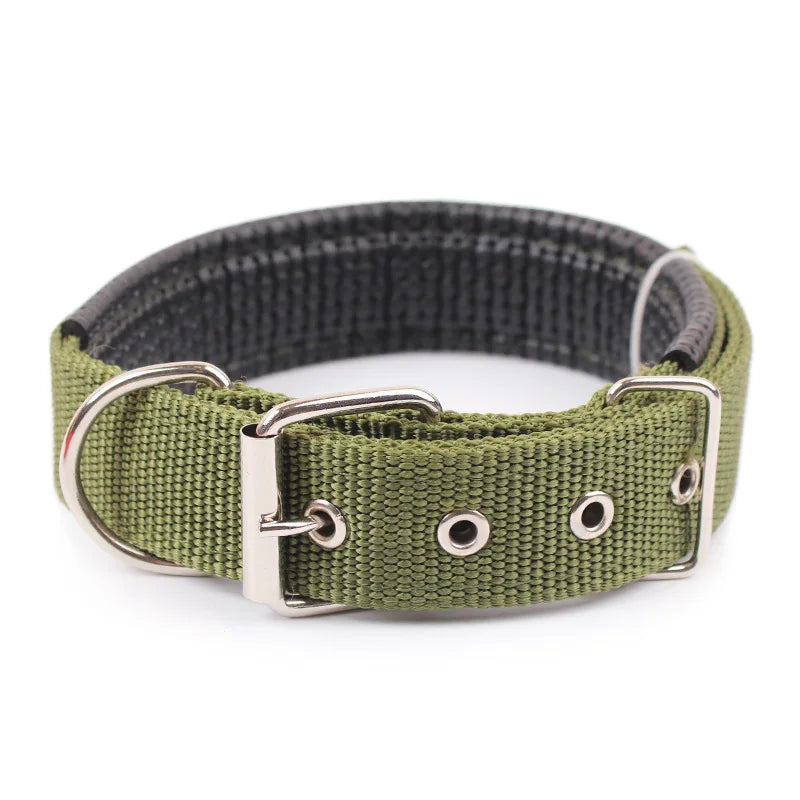 Collar Resistente para Perros de Todas las Razas