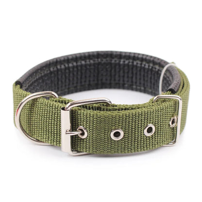 Collar Resistente para Perros de Todas las Razas