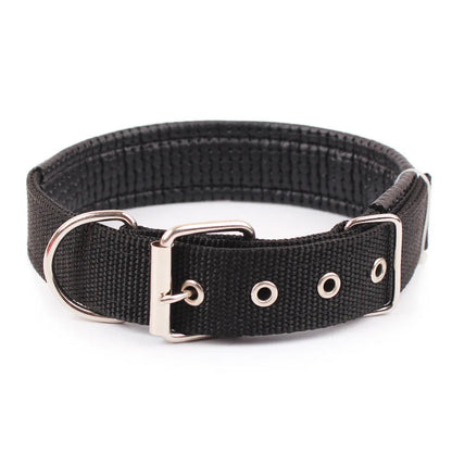 Collar Resistente para Perros de Todas las Razas