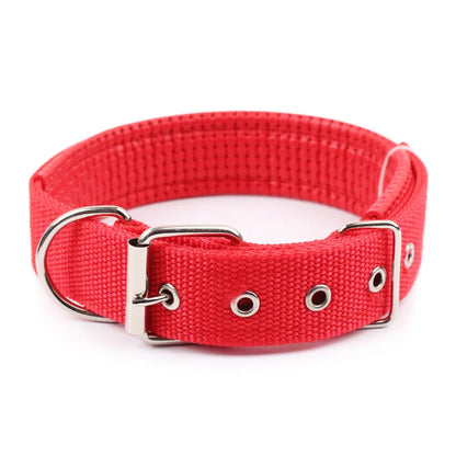 Collar Resistente para Perros de Todas las Razas