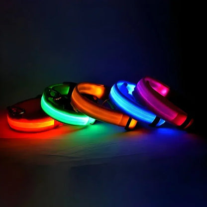 Collar LED para Perros – Seguridad Nocturna Luminoso y Ajustable