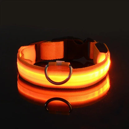 Collar LED para Perros – Seguridad Nocturna Luminoso y Ajustable