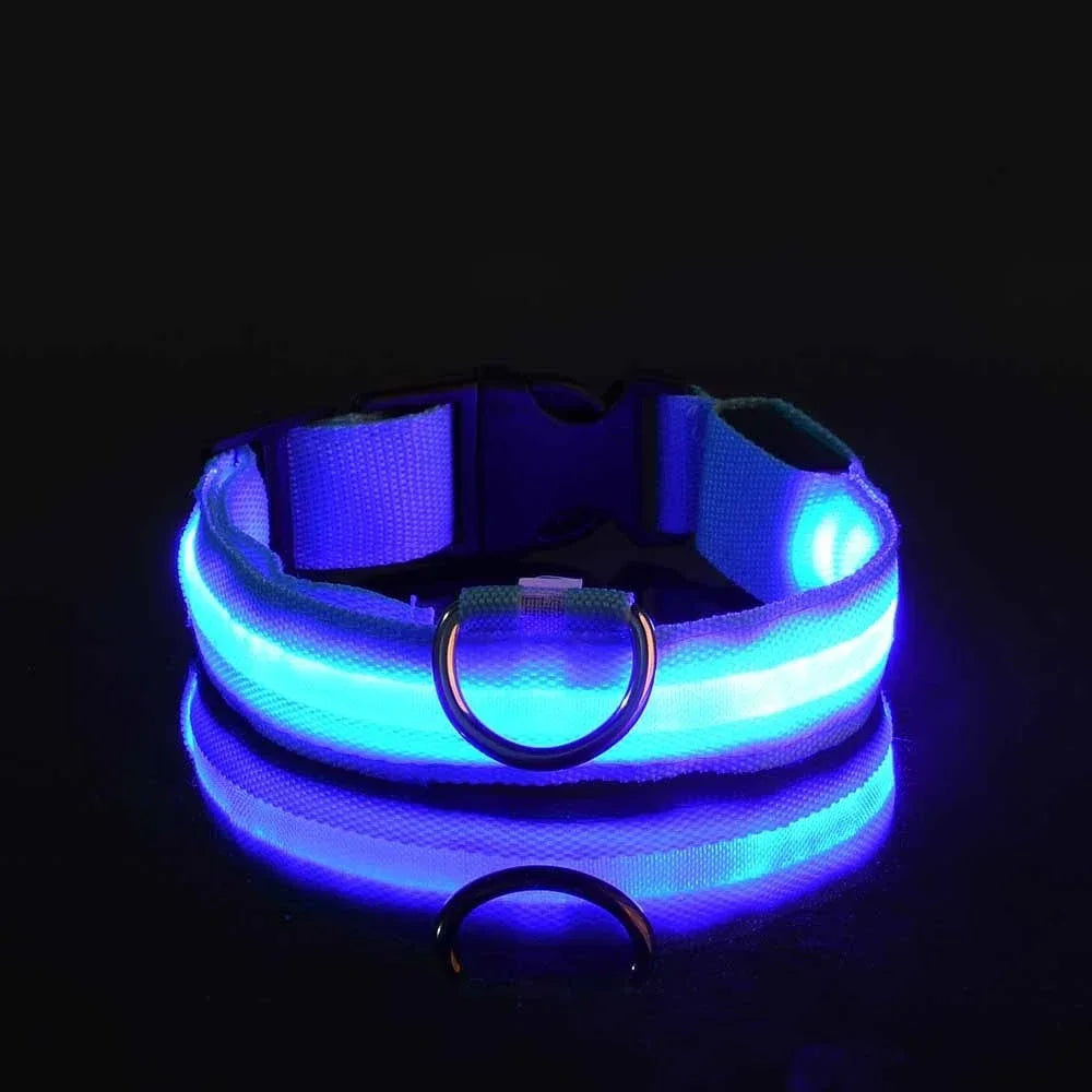 Collar LED para Perros – Seguridad Nocturna Luminoso y Ajustable