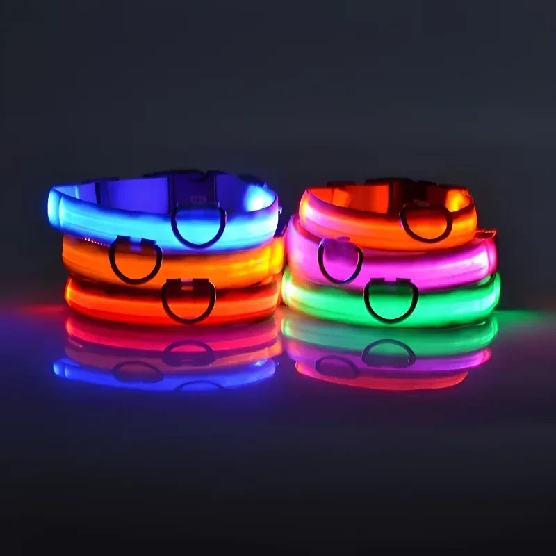 Collar LED para Perros – Seguridad Nocturna Luminoso y Ajustable