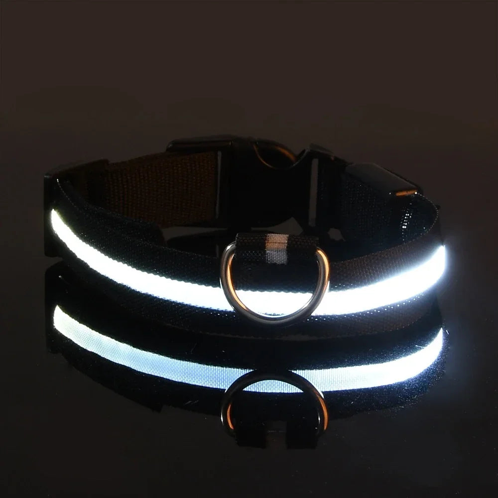 Collar LED para Perros – Seguridad Nocturna Luminoso y Ajustable