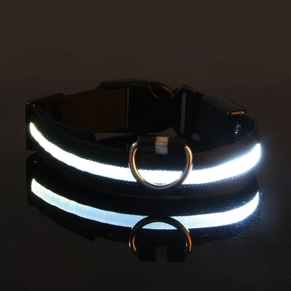 Collar LED para Perros – Seguridad Nocturna Luminoso y Ajustable