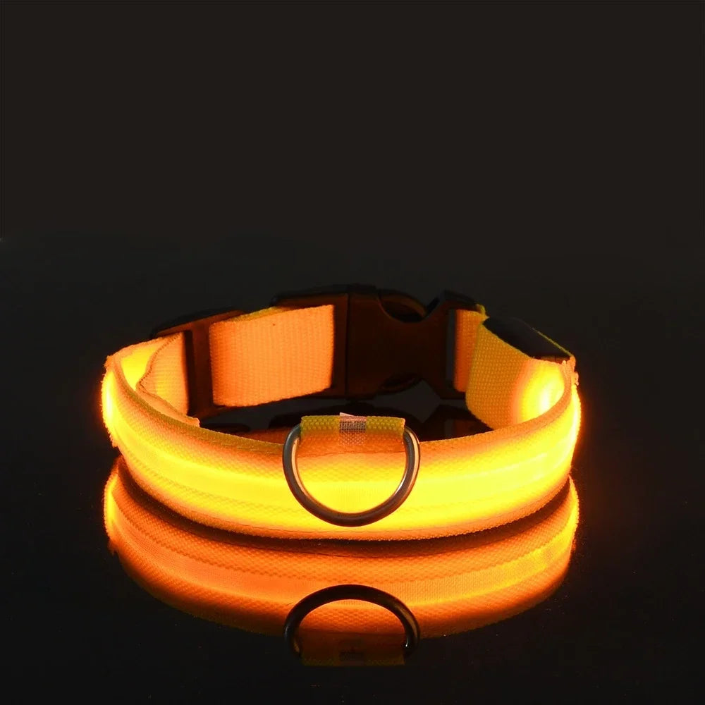 Collar LED para Perros – Seguridad Nocturna Luminoso y Ajustable