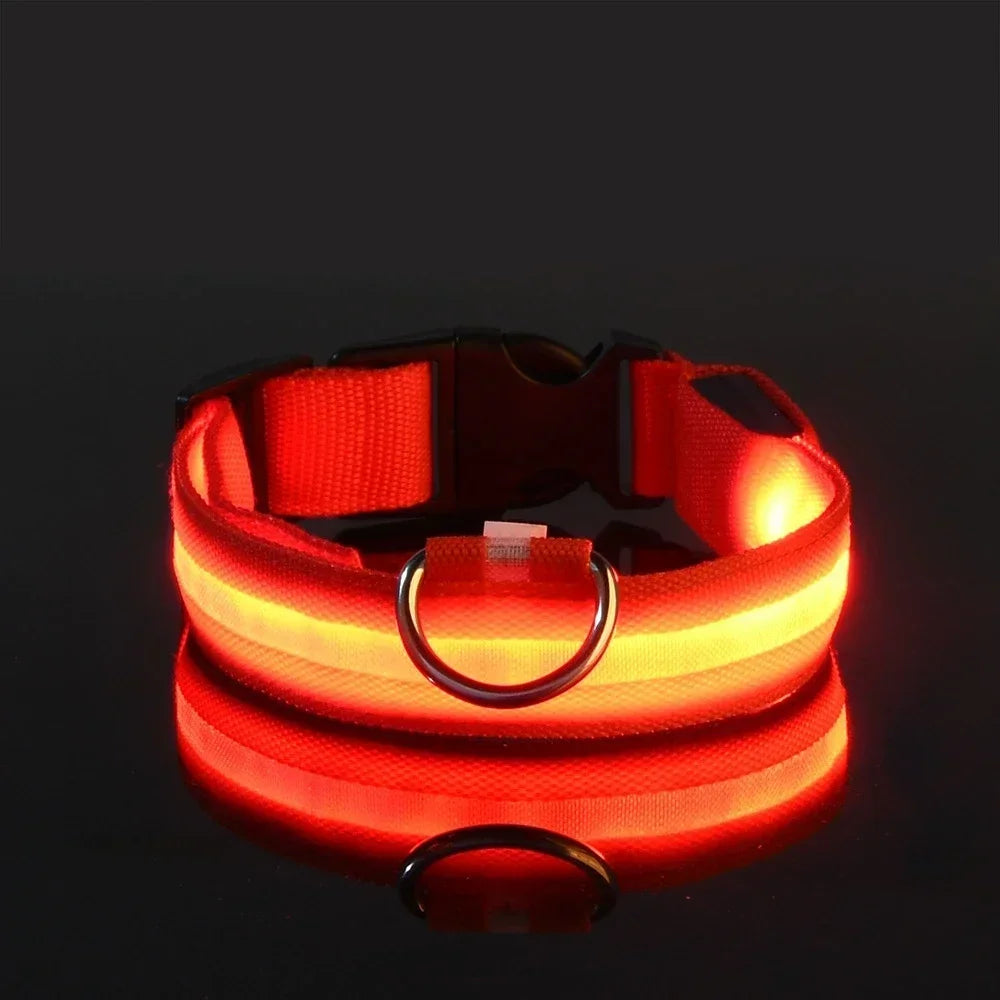 Collar LED para Perros – Seguridad Nocturna Luminoso y Ajustable