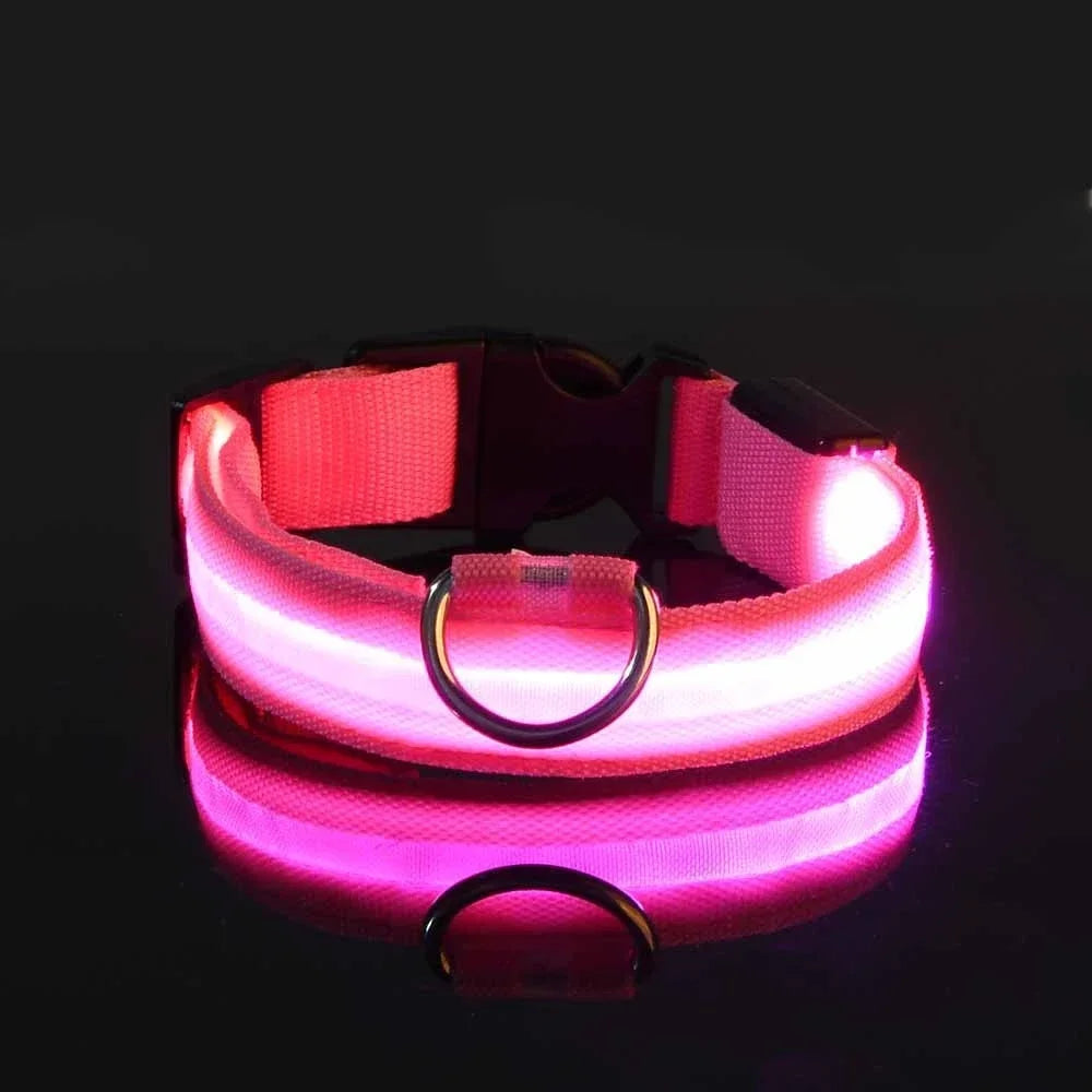 Collar LED para Perros – Seguridad Nocturna Luminoso y Ajustable