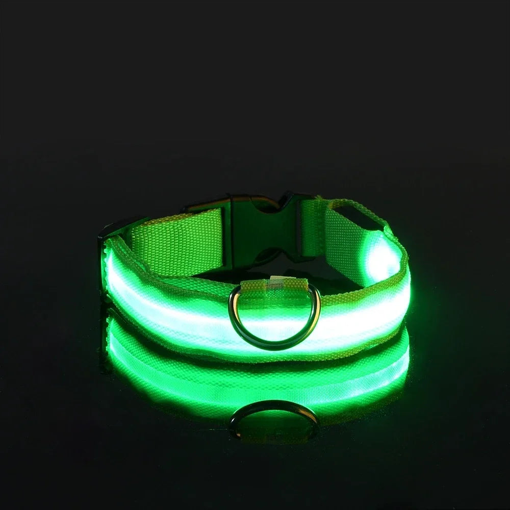 Collar LED para Perros – Seguridad Nocturna Luminoso y Ajustable
