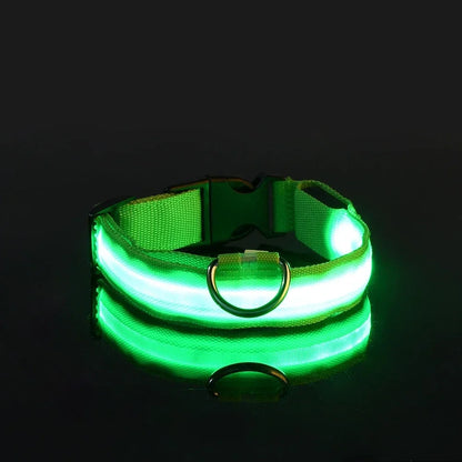 Collar LED para Perros – Seguridad Nocturna Luminoso y Ajustable
